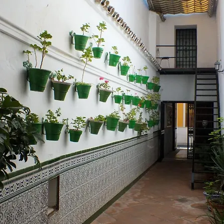 Гостьовий будинок Patio Cordobes *