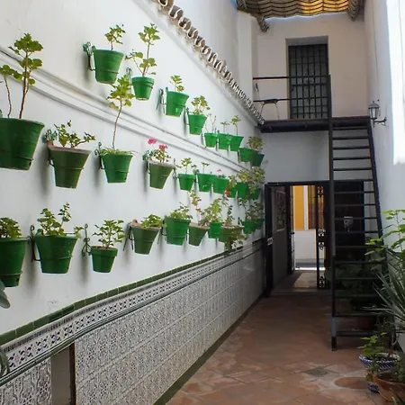Pensjonat Patio Cordobes Kordoba