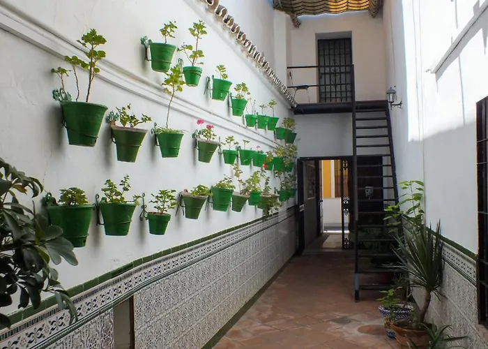 Pensionat Patio Cordobes Córdoba