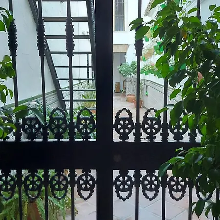 Patio Cordobes Gasthuis *