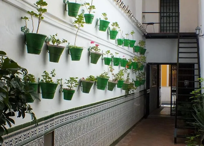 게스트하우스 Patio Cordobes *